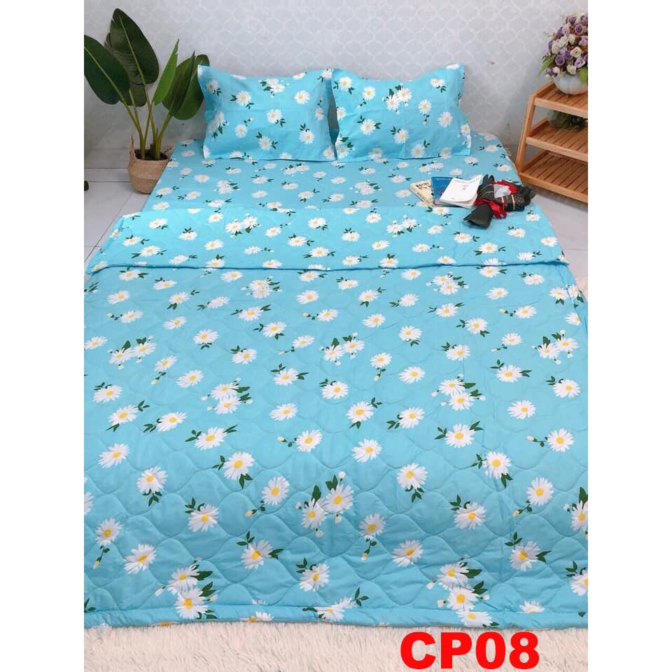 Chăn trần 2 mặt cotton poly CP08 hàng loại 1, thoáng mát, màu sắc trang nhã, phong cách hàn quốc