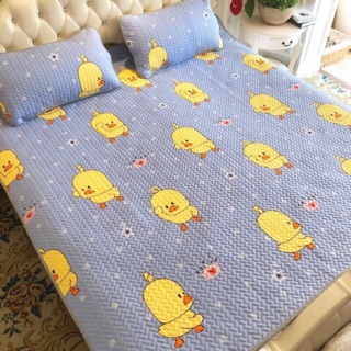 Chiếu lụa Tencel 2D -> hàng loại 1 -> inbox chọn mẫu