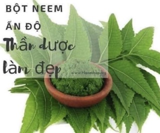 100gam bột lá nem Ấn Độ sấy lạnh