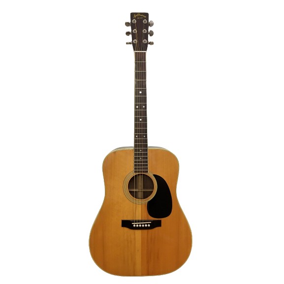 Guitar Acoustic Aria Dreadnought 30