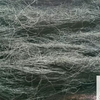 Thực dưỡng rong biển tóc tiên (rong mái chèo)