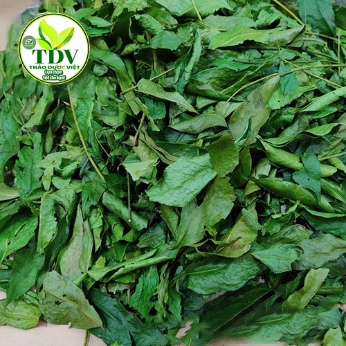 1KG LÁ MẮC MẬT SẤY KHÔ(SẤY LẠNH)-XANH THƠM TÂY BẮC