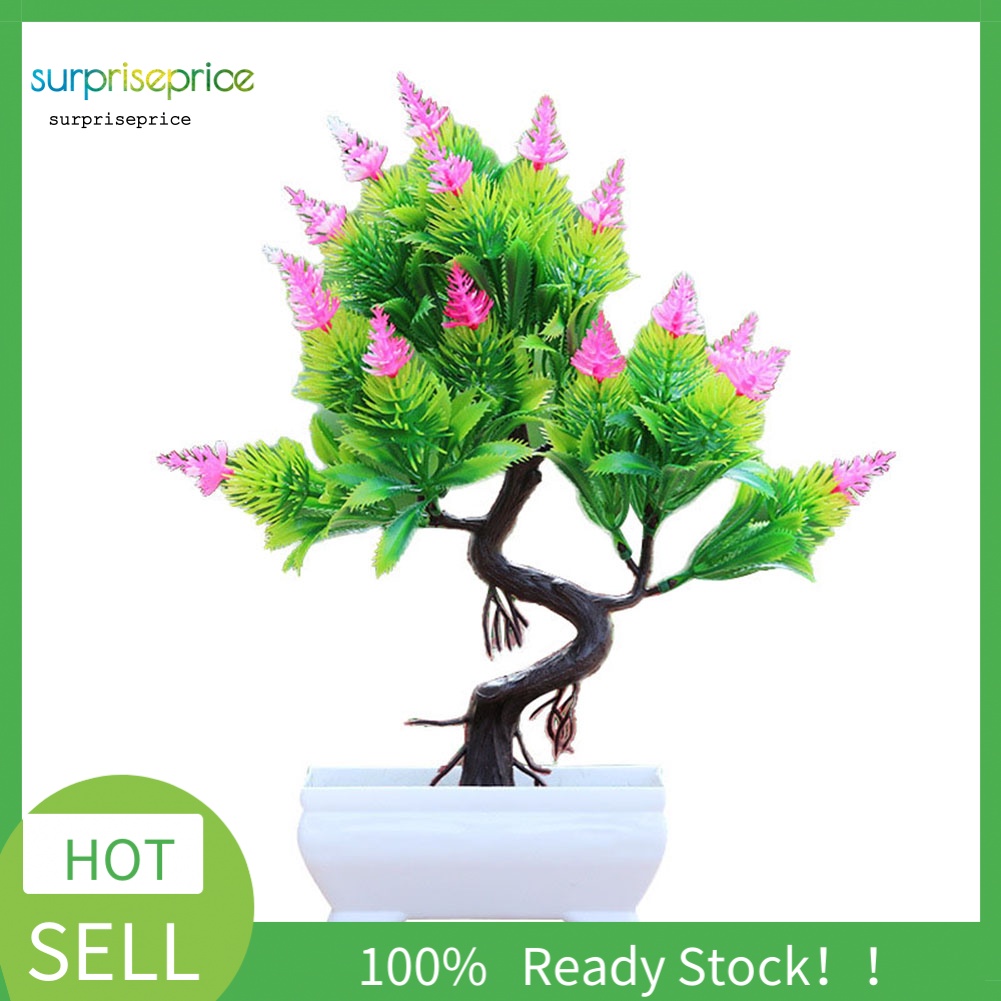 Chậu Cây Thông Nhân Tạo Để Bàn Trang Trí Nhà Cửa / Khách Sạn / Văn Phòng