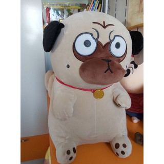 chó mặt "quạu" siêu dễ thương size 20cm