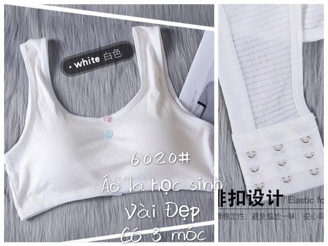 ÁO LÁ HỌC SINH COTTON