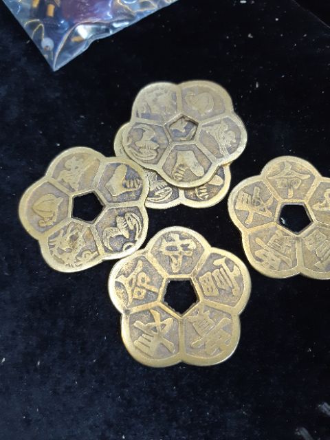 Tiền hoa mai đồng vàng xịn | BigBuy360 - bigbuy360.vn