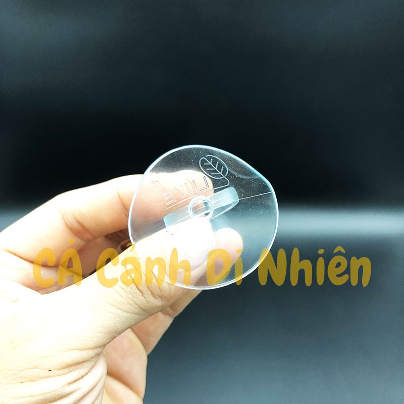 Hít kính giữ ống DÂY LỌC NƯỚC 20 mm cho hồ cá cảnh - cacanhdinhien