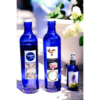 [Siêu rẻ]- Chai thuỷ tinh xanh- chai thái Dương lam Thuỷ bao gồm cả logo thanh tẩy