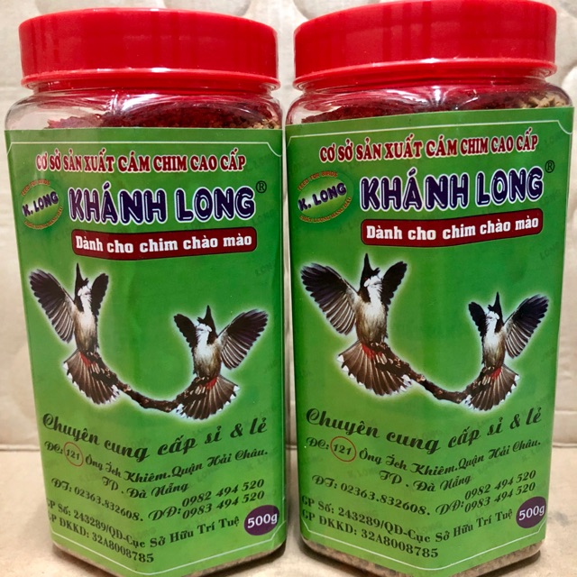 Cám Chào Mào Khánh Long (2 chim )