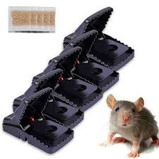 Kẹp bẫy chuột công nghệ mới, nhựa ABS an toàn hiệu quả
