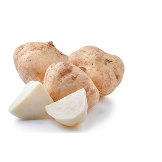 40H - hạt giống củ đậu mát