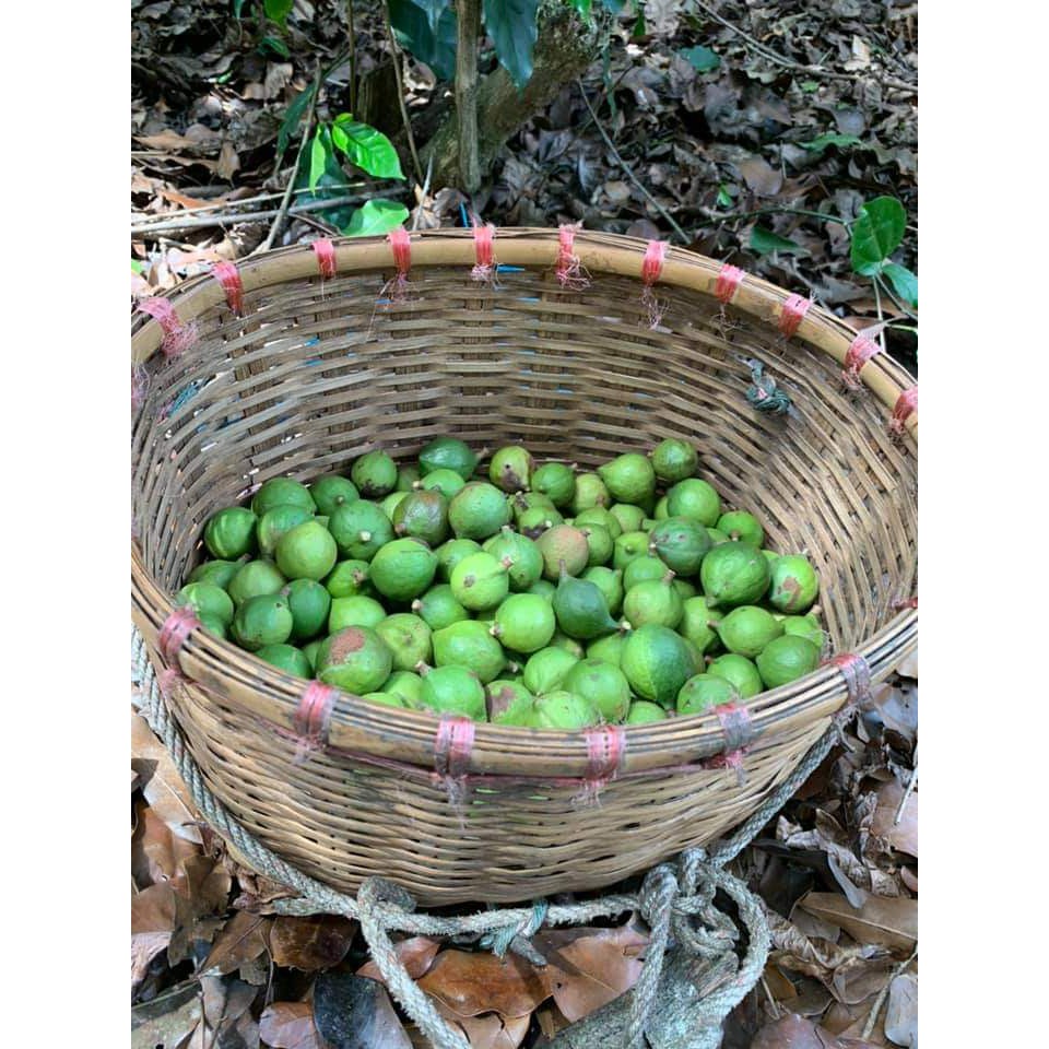 [Gói 500g] Hạt Macca B'Lao sấy nứt vỏ loại đặc biệt. | BigBuy360 - bigbuy360.vn