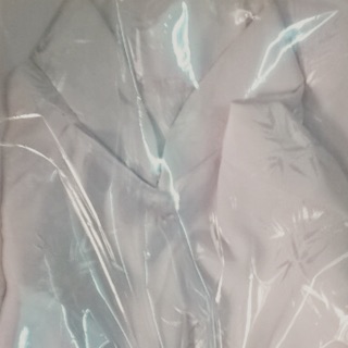 Ao dai Trắng hoc sinh