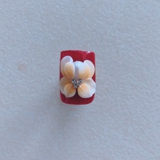hoa bột nails- hoa chân