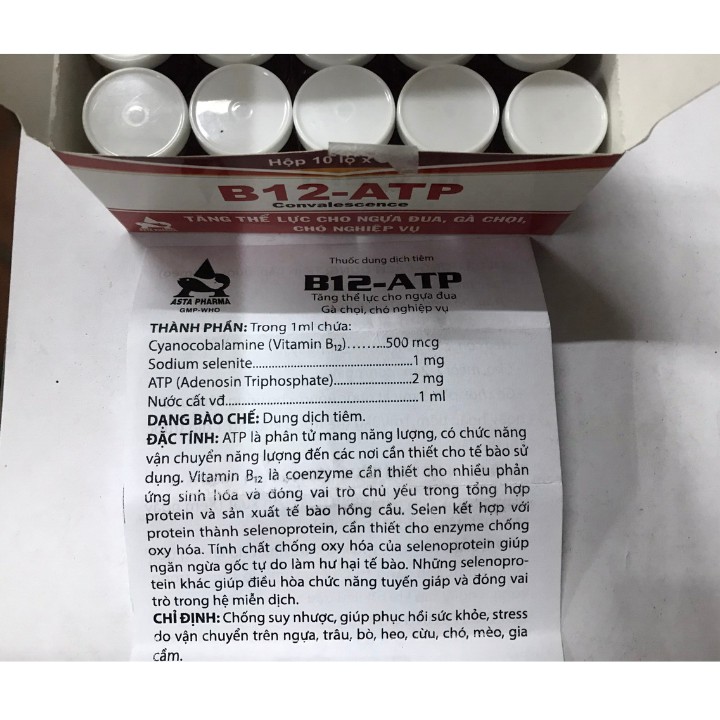 B12 ATP [hộp 10 lọ x 5ml] Tăng thể lực gà đá, ngựa đua.