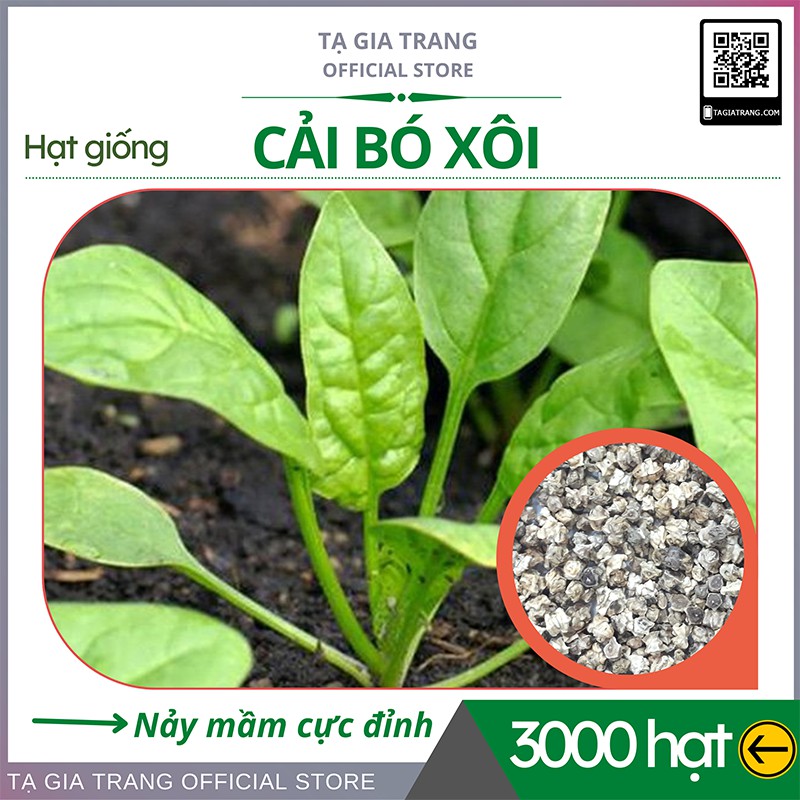 [Mã 11LSSALE giảm 100% đơn 50k] [Top Bán Chạy] - Gói 2000 Hạt Giống Rau Cải Bó Xôi Chịu Nhiệt - Rau Chân Vịt, Rau Bina
