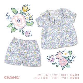 Bộ cộc cổ bèo