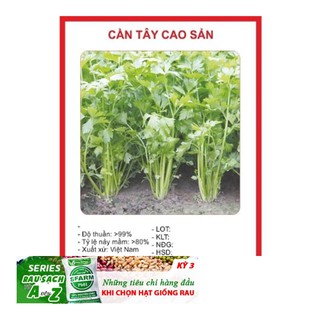 GÓI 200 HẠT GIỐNG CẦN TÂY