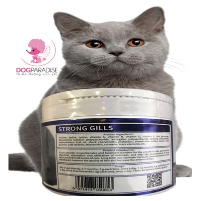 Dinh dưỡng làm tăng nọng má phính cho mèo Strong Gills - Dog Paradise