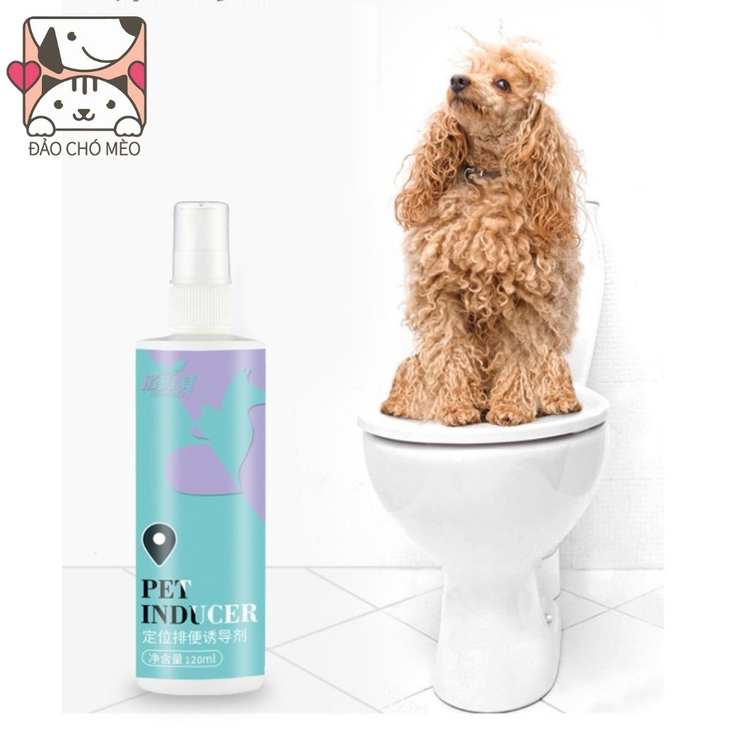 Xịt hướng dẫn vệ sinh đúng chỗ BoBo loại thế hệ mới - Xịt Bobo giúp chó mèo vệ sinh đúng chỗ - Đảo Chó Mèo