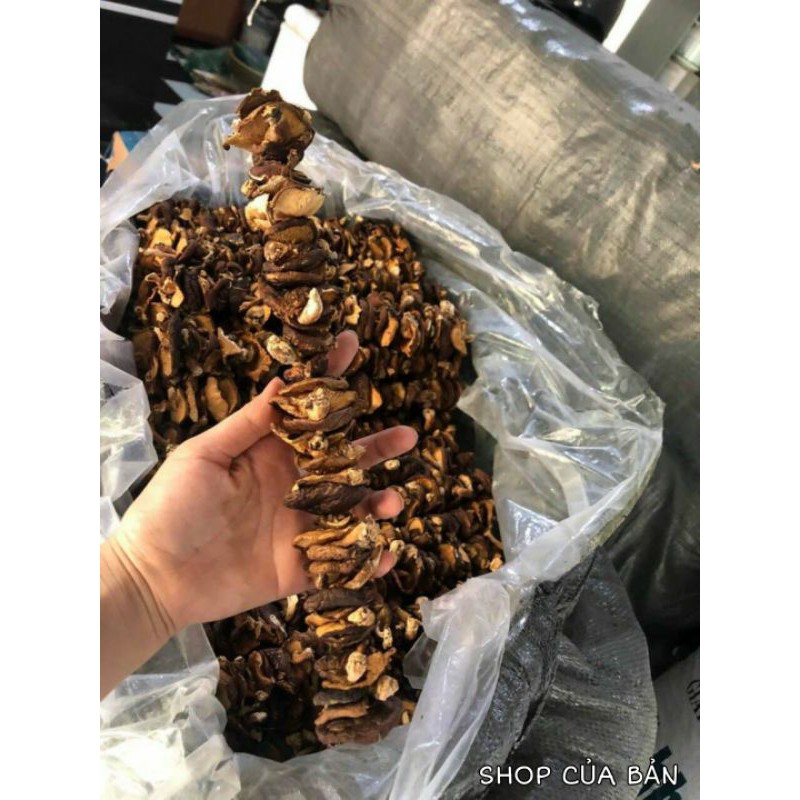 Nấm hương rừng khô Tây Bắc gói 500g hàng loại 1, nấm hương rừng Sapa xiên que phơi khô tự nhiên thơm ngon | BigBuy360 - bigbuy360.vn
