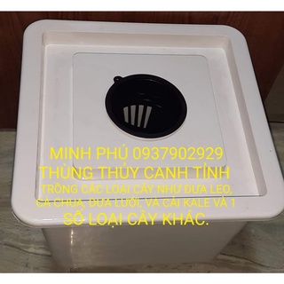 Thùng thủy canh trồng cây ăn quả