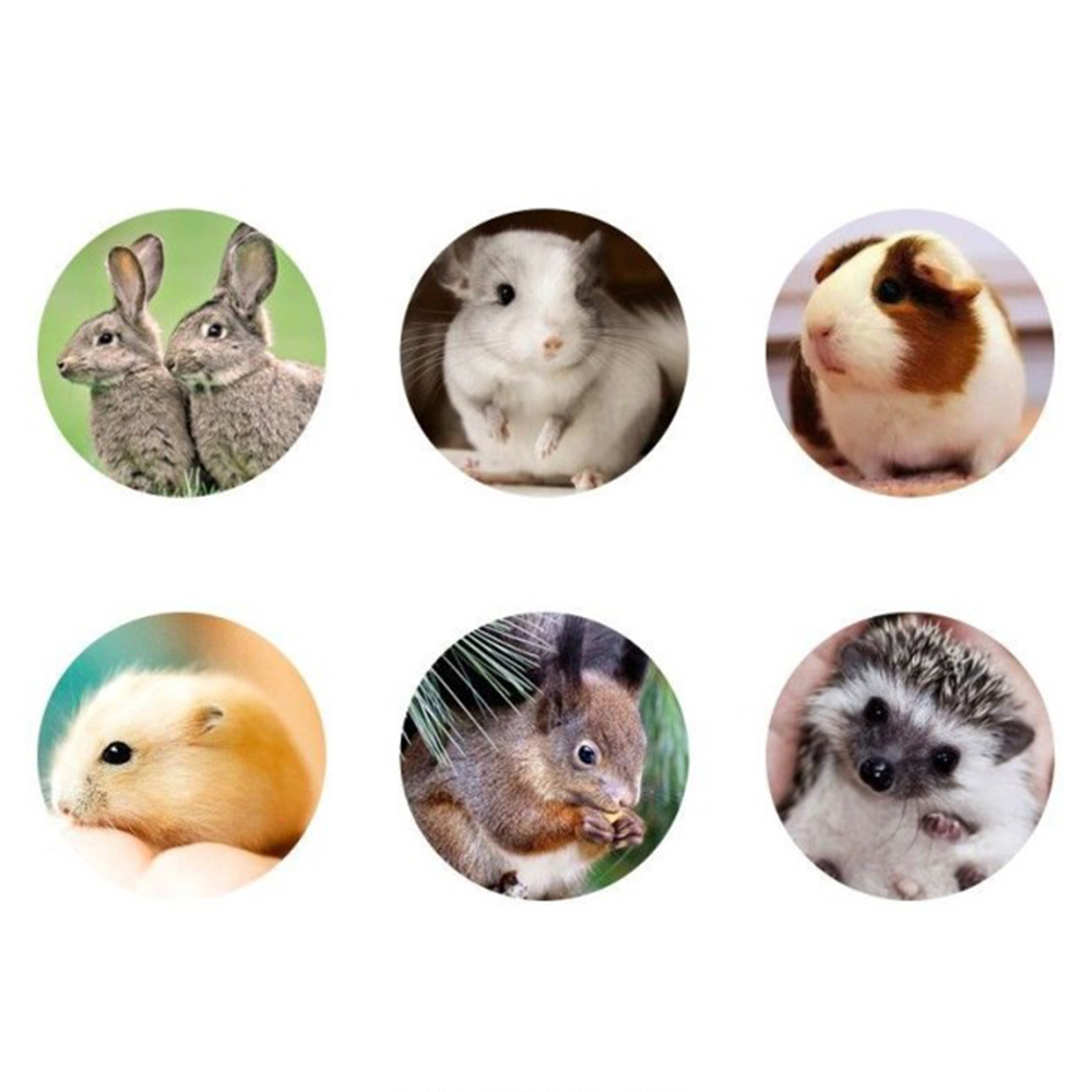 Bình đựng nước cho chuột Hamster dung tích 80-250ml