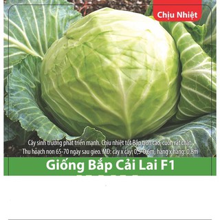 Hạt Giống Bắp Cải Xanh F1 Chịu Nhiệt, Năng Suất Cao 1gr