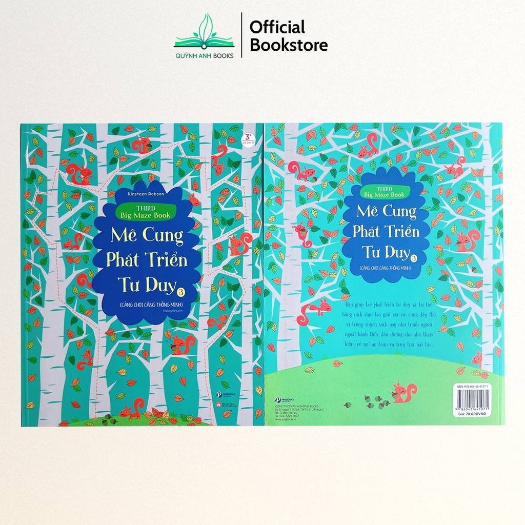 Sách - Mê cung phát triển tư duy trò chơi trí tuệ  - NPH Pingbooks