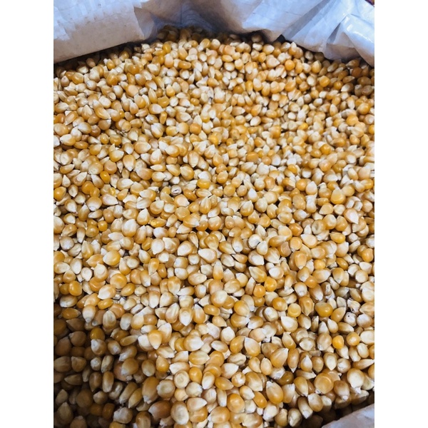 1kg Ngô Mỹ làm bắp rang bơ