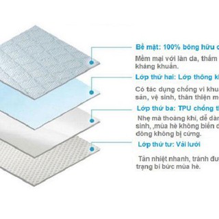 TẤM LÓT CHỐNG THẤM (LOẠI 4 LỚP)(RẺ MÀ CHẤT)