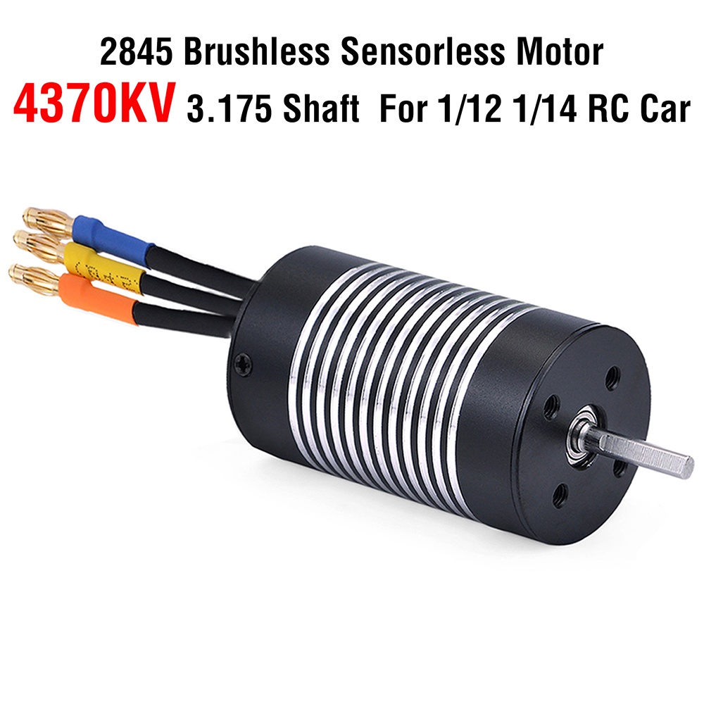 Động Cơ Không Chổi Than 2845 3100kv 3800kv 4370kv 5000kv Cho Xe Đồ Chơi Wltoys 12428 1 / 12 Rc