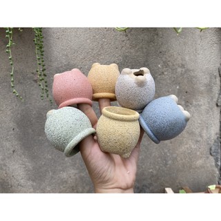 Combo 6 chậu gốm mini màu pastel
