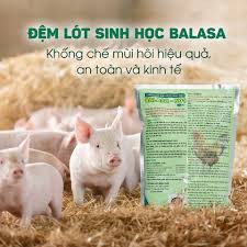 Chế Phẩm Khử Mùi Chuồng Nuôi Balasa