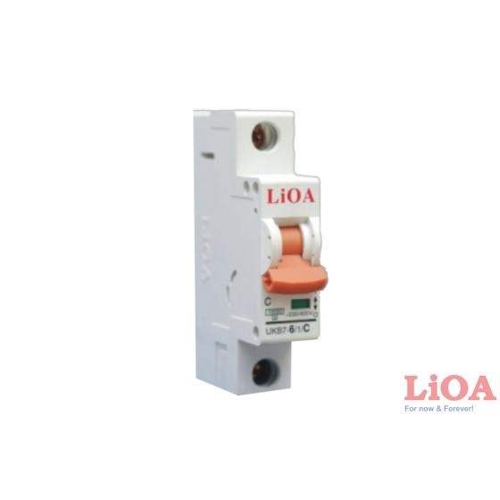 MCB CB tép 1P cầu dao 1 pha 6A 10A 16A 20A 25A 32A 40A 50A 63 4.5kA  Áp tô mát aptomat tép Lioa