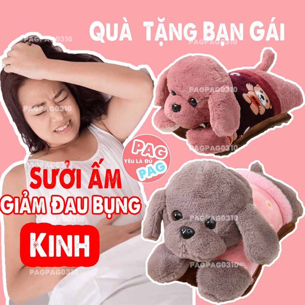 Bộ Túi Sưởi, Túi Chườm Đau Bụng Kinh- Quà Tặng Bạn Gái Và Gia Đình - Chườm Nóng, Lạnh - Sạc Điện Hình Thú Bông