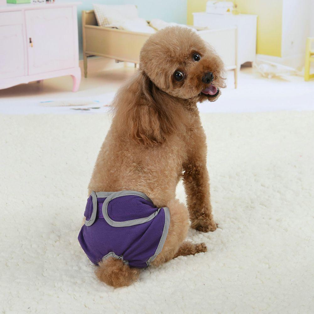 1 Tã Quần Bằng Cotton Co Giãn Thoáng Khí Dành Cho Chó Cưng