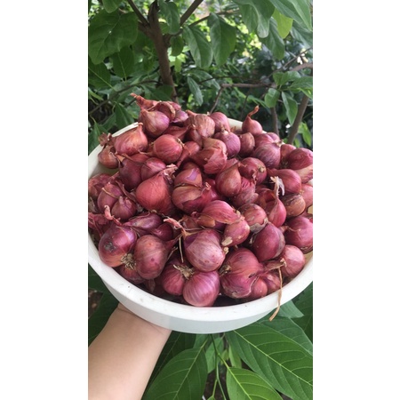 Hành tím Sóc Trăng - Vĩnh Châu 2kg