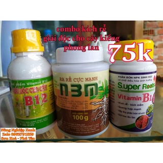 Combo kích rễ giải độc cho Lan và cây cảnh N3M B12 và super b1