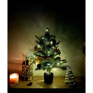 Cây thông Noel decor [cam, quế, thông sấy khô. dây đèn đom đóm]