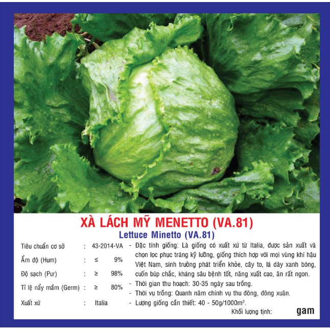 HẠT GIỐNG XÀ LÁCH MỸ