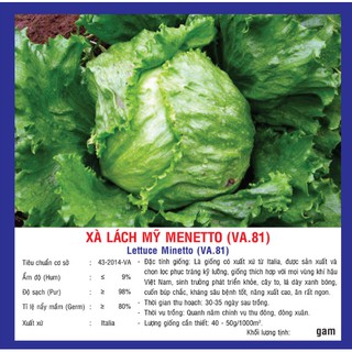 HẠT GIỐNG XÀ LÁCH MỸ