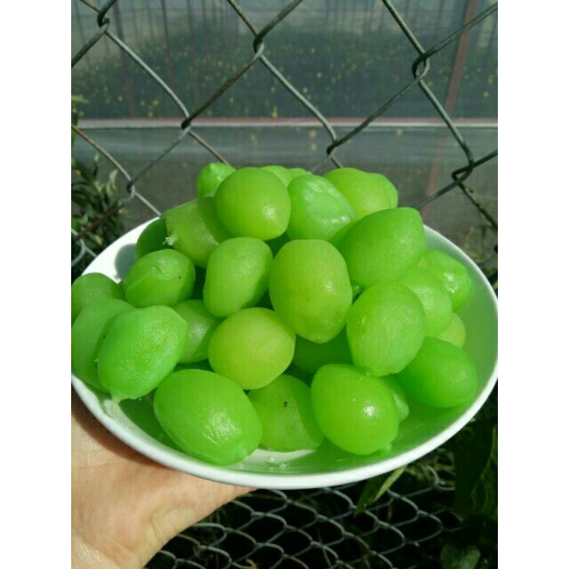 Hũ xí muội đào xanh  giòn chua ngọt siêu ngon y hình