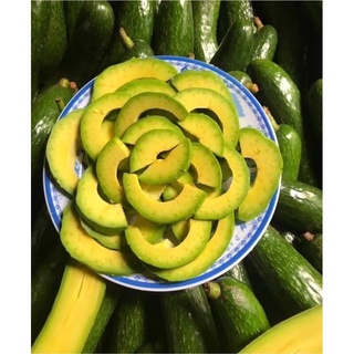 giải cứu bơ 034 Lâm Đồng bơ bao ngon