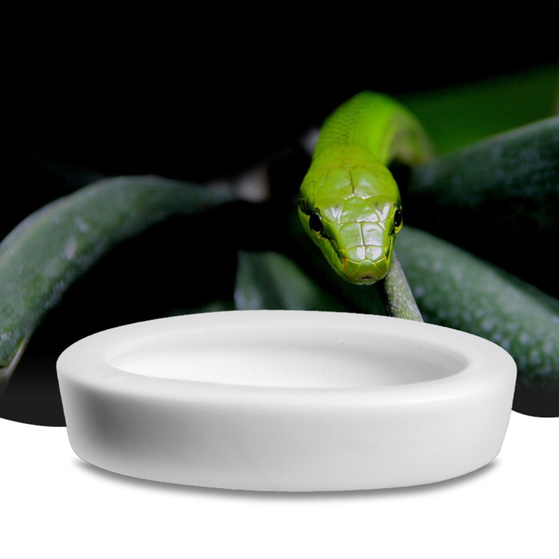 Dụng Cụ Cho Bò Sát / Rùa / Thằn Lằn / Báo / Rồng