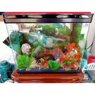 Mô Hình Cây Cầu Trang Trí bể cá ( Size vừa )