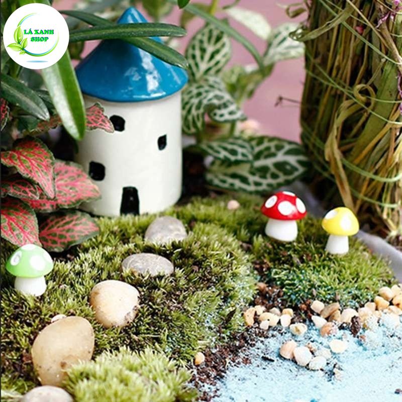 Tiểu Cảnh Cây Nấm Mini, Mô hình cây nấm mini nhiều màu sắc dùng trang trí tiểu cảnh sen đá, sân vườn, bể cá,...