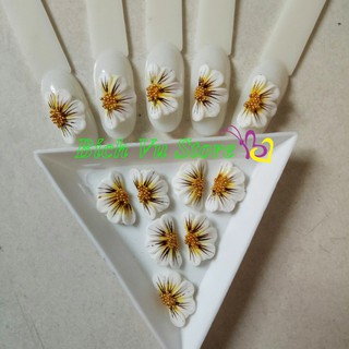 Hoa nỗi 4D, Fantasy | 18k/cặp