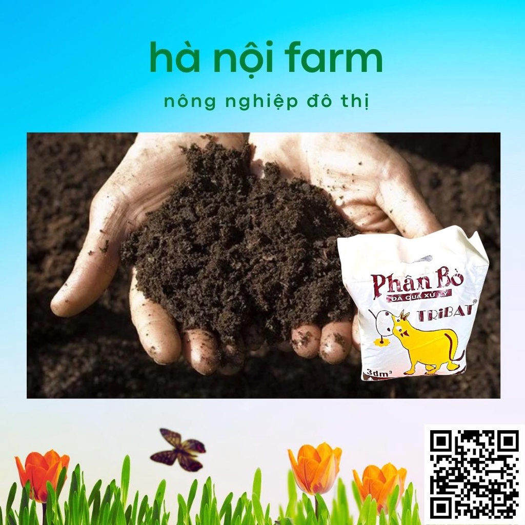 Phân bò khô, phân bò tự nhiên đã qua xử lý dùng cho mọi loại cây trồng gói 800g