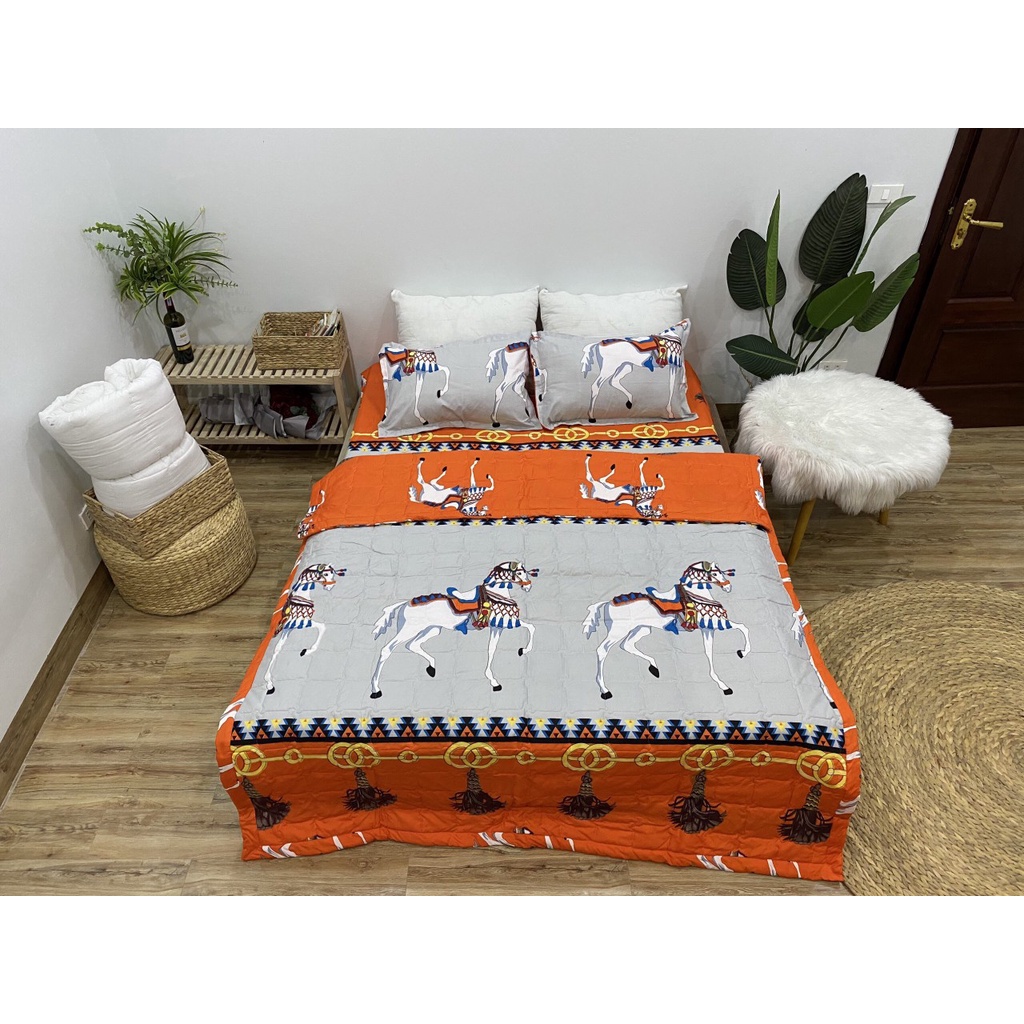 Sét 5 món chăn ga gối chăn hè trần bông cotton poly